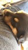IMG-20190503-WA0011.jpg
