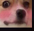 Screenshot 2025-06-17 020337.png
