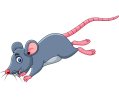cartoon-funny-mouse-jumping-600nw-1278525979.jpg