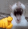1789744489026.png