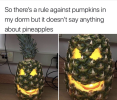 1791198136408.png