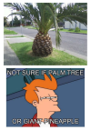 1791250348991.png
