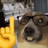 nerd-dog-nerd.gif