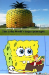 1792589948979.png