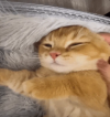 1793205893252.png