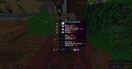 SalwyrrLauncher 08-04-2021 16.28.09.png