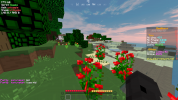 survival in bedwars.png