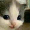 20220101_212942.png