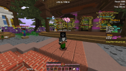 SalwyrrLauncher 17-05-2022 21.11.33.png