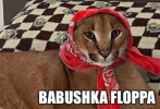 1653923644763.png