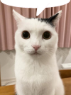 TAKERU-1.png