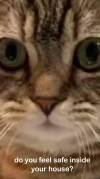 1663960067187.png