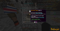 SalwyrrLauncher 14-10-2022 10.43.52.png