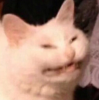 fuckoff.PNG