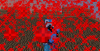 2017-10-30_22.43.00.png
