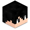 skinmc-avatar(13).png