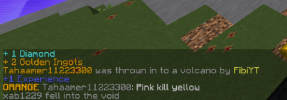 Minecraft 1.8.9 13.01.2024 17_13_11.png