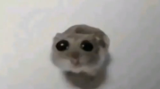 1709277728873.png