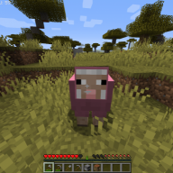 Warrior_Chad_TV