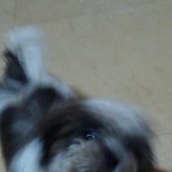 Kenzy
