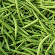 BeansForKids
