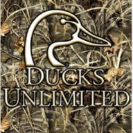 Camo_Duck