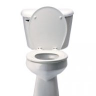 thetoileter