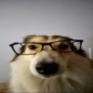 ksdwago