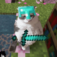 daniel_hypixel