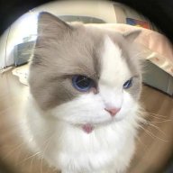 Winnie_