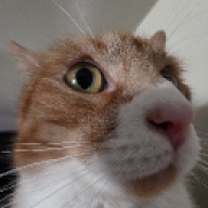 l_o_n_e_