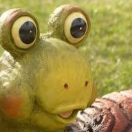 TURTDtle