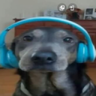 kuka_beludo