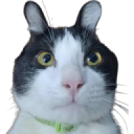 kobid