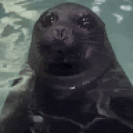 yukliseal