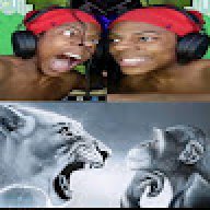 salamzi