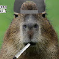 lastwordofgod