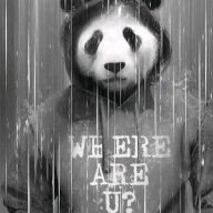 panda_plays