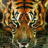 TigerBoioYT