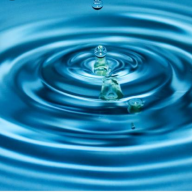 Waterster