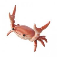 CrabRave