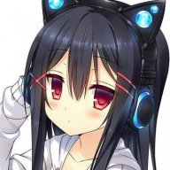 WZDFR