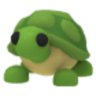 iLike_turtles_