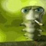 Salamo_ALG