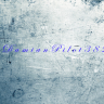 DamianPilot382