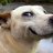 sandroxxGaming